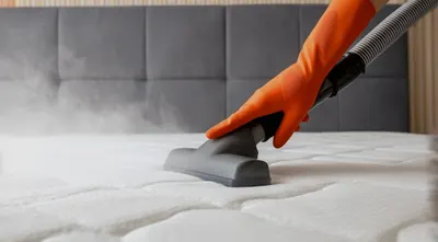 Firma sprzątająca KOT Sprzątanie mieszkań, biur/mycie tapicerki